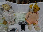 DSC01921