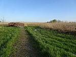 DSC01960