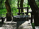DSC02106