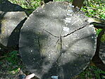 DSC02112