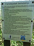 DSC02113