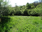 DSC02118