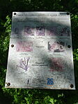 DSC02119