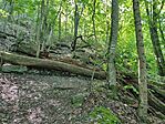 IMG_20250427_104748
