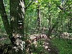 IMG_20250427_104215