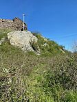 IMG_4278