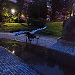 IMG_20250424_200734
