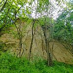 IMG_20250427_104802