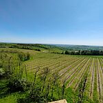 IMG_20250427_115952