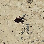 IMG_20250427_122841