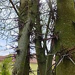 IMG_20250426_112938