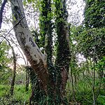 IMG_20250426_191311