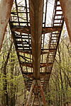 IMG_3885