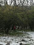 IMG_20250407_092737