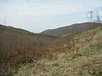 IMG_6140