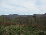 IMG_6143