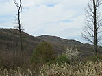 IMG_6160