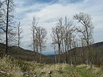 IMG_6170