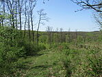 IMG_6206