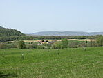 IMG_6236