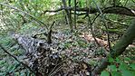 IMG_20250427_151434.jpg
