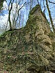 20250405_161404_k