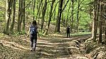 25 04 20 GCBron-Erdőbénye (147)