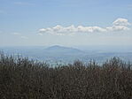DSC00184