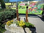 DSC00152