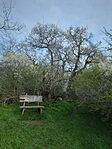 IMG_20250405_080545_387.jpg_compressed