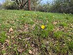 IMG_20250405_081352_344.jpg_compressed