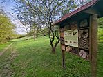 IMG_20250405_081849_136.jpg_compressed