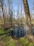 IMG_20250405_143332_120.jpg_compressed