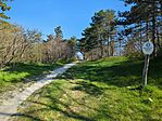 IMG_20250413_090021_726.jpg_compressed