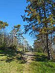 IMG_20250413_090148_949.jpg_compressed
