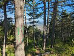 IMG_20250413_092125_924.jpg_compressed