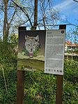 IMG_20250413_104019_077.jpg_compressed