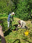 IMG_20250426_110814_090.jpg_compressed