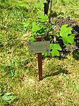 IMG_20250426_113746_709.jpg_compressed