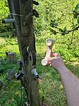 IMG_20250426_110605_347.jpg_compressed