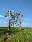 IMG_20250426_153851_006.jpg_compressed