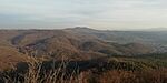 IMG_20250208_155457