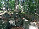 IMG_20240731_163730945_MFNR