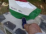 IMG_20240731_164616646_MFNR
