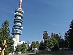 IMG_20240731_164812178_MFNR