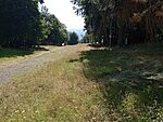 IMG_20240731_165005002_MFNR