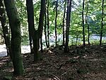 IMG_20240731_165427170_MFNR