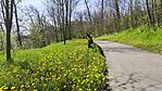 IMG_20250405_115844.jpg