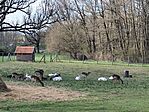IMG_20250404_133746