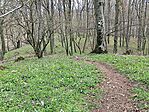 IMG_20250405_133056